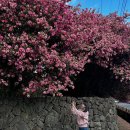 파동어린이집(키즈브라운) | 아기옷브랜드 추천 아리코베베 어린이집 등원룩 추천해요