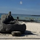 진아목장 이미지