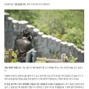 이담애포토그래피 이미지