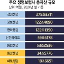 동양·ABL생명 품은 우리금융, 합병시 '자산 50조' 대형 보험사 탄생 이미지