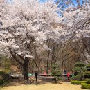 버들농원 이미지