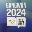자원(주) | 2024 강원 동계청소년올림픽 베뉴 미디어 자원봉사 첫 주 후기