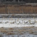 (주)순천환경 이미지