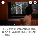 오씨주택 이미지