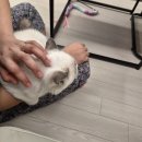 빅토리마트 | 부디야 가족이 되어줘서 고마워