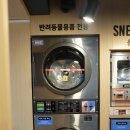 이지워시셀프빨래방홍은정원단지점 | 상암동빨래방은 이지워시 셀프빨래방 상암점! 봄맞이 겨울이불 패딩 세탁하고 온 솔직후기
