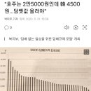 "호주는 2만5000원인데 韓 4500원…담뱃값 올려야" 이미지