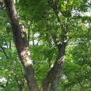 사랑나무유통 - 화순군 | 사랑나무유통