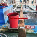 경남타이어상사 이미지