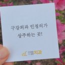 명지엘치과의원 네이버블로그
