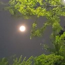 달곰님들~오늘 달 보고 소원 비세요 이미지