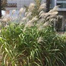 동탄지성로470번길 이미지