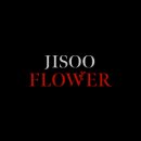꽃(flower)