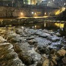 행정사사무소 솔빛 이미지