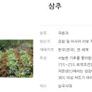 남창원농협 경제사업소 이미지