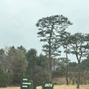 현대가든 | 자유cc 라운딩 후기/생일파티 카트 이벤트/스타벅스 맥주/자유cc맛집 현대가든 후기