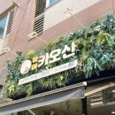 영등포 맛집 추천: 만원으로 태국 다녀오기 쌉가능🇹🇭 쌀국수 푸팟퐁커리 나시고랭 맛집 하이카오산 후기
