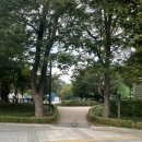 종합운동장역 8번출구 | 프리다이빙 일기 - 고고다이브 코칭반 1회차 후기 (잠실 종합운동장 수영장 가는 방법)