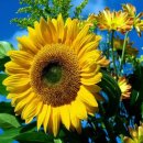 우창산업 이미지