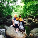 토옥동송어횟집 이미지
