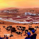 만사목장 이미지