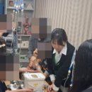 대성 간호 학원 이미지