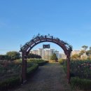 장자호수공원 장미원 이미지