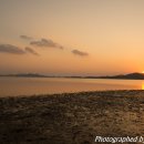 노을농장 이미지