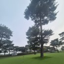 [포천]필로스cc 5월 라운딩 후기/동반자 홀인원 경사!!
