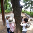 용인아이숲유아숲체험원 이미지