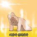 온피트니스