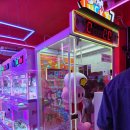 챔피언오락실 | 포항 양덕 인형 뽑기 챔피언 오락실 새로 오픈한 곳 방문 후기