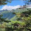 위성경로당 이미지