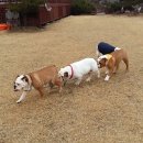 럭키펜션 이미지