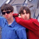 오아시스 이미지