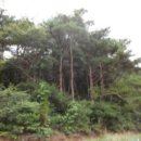 장현2리 마을회관 이미지