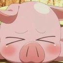 핑크돼지 이미지