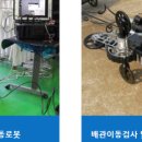 디비인터네셔널
