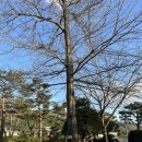 전광식농장 | 포천 샘물농장 펜션 | 라일락방 | 햄튜브 포천 펜션 | 황토펜션