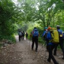 조무락계곡 이미지