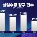 도그비앤비