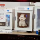 펫앤쇼핑 이미지