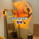 땅쏙