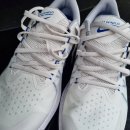 봉곡하와이헬스장 | 달리기 관련 장비 구입, 나이키 zoon winflo8, qcy-gtc