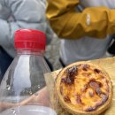 햄튼타워 | 노랑풍선 마카오 패키지 여행 둘쨋날 후기