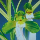 자산동244 이미지