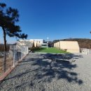 트리랜드
