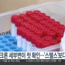 오미크론 세부변이 첫 확인... '스텔스' 보다 전파력 커 이미지