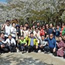 봉남초등학교 이미지