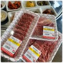 애견프라자 이미지